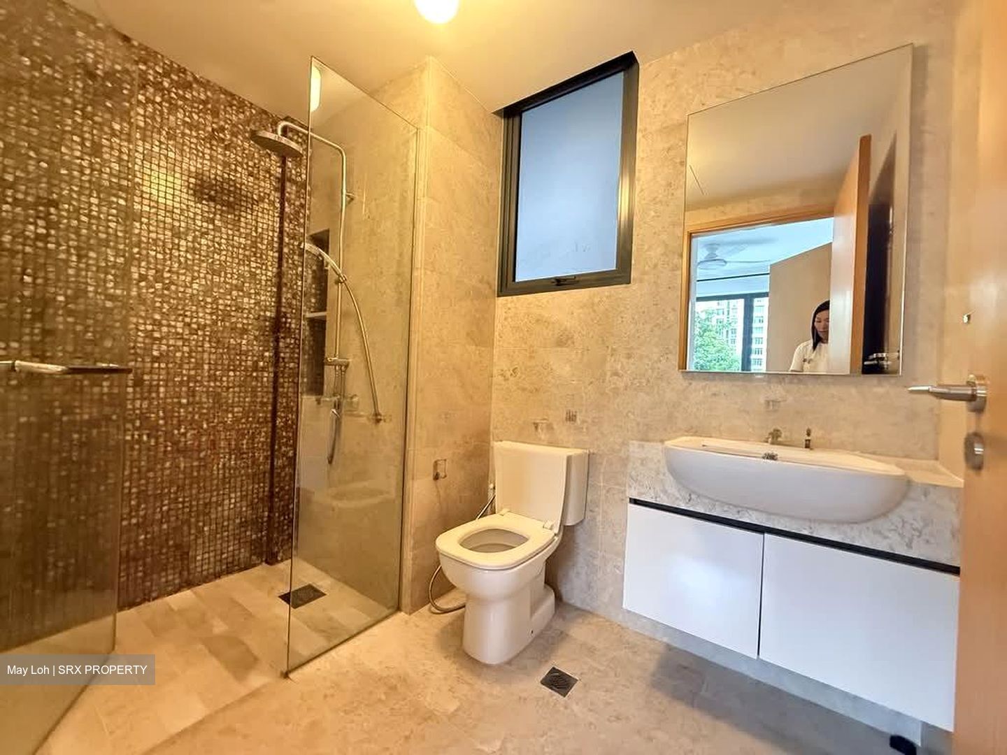 La Fiesta (D19), Condominium #578693841